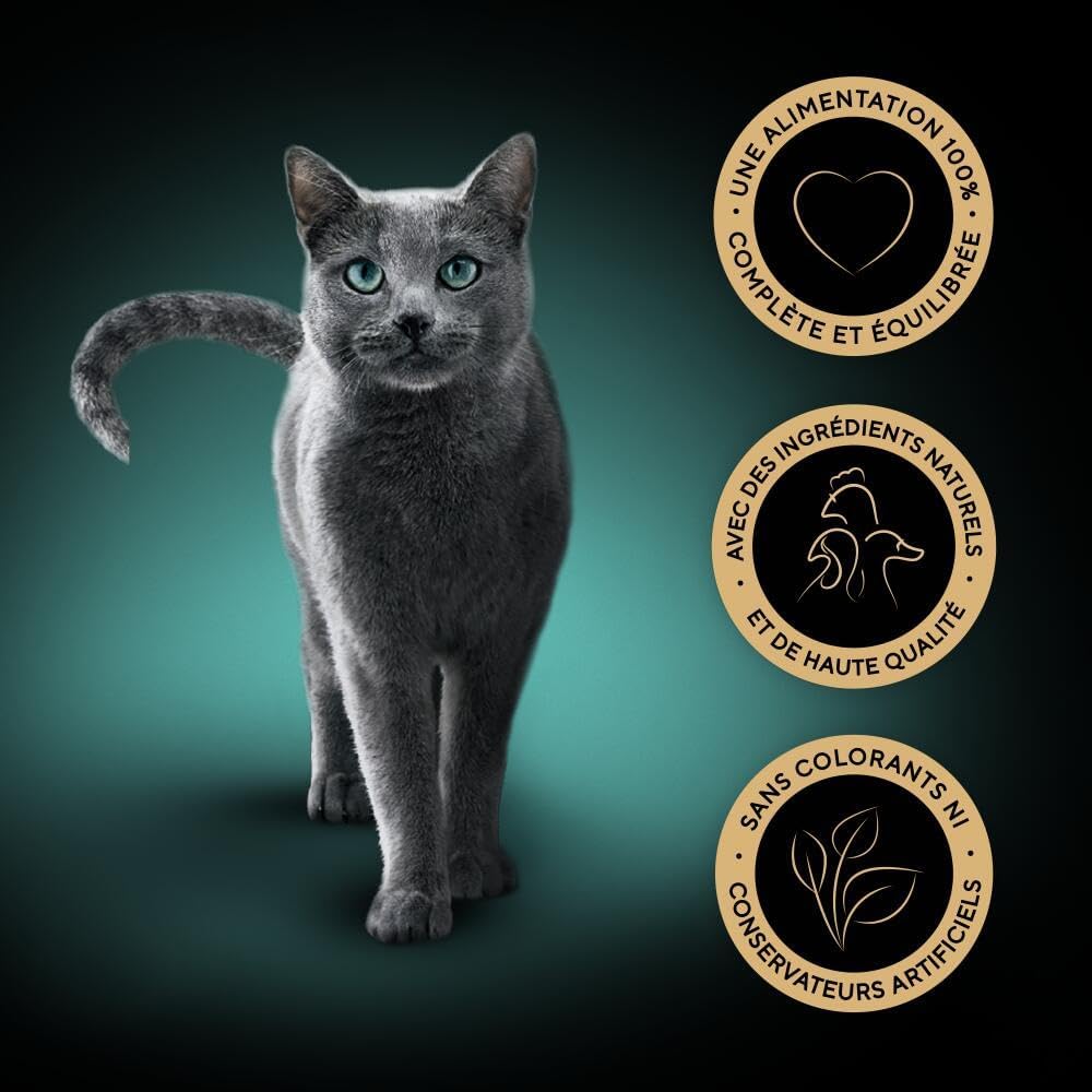 SHEBA Mini Filets - Sachets Fraîcheur en Sauce, Sélection Volaille pour Chat Adulte - 40x85g