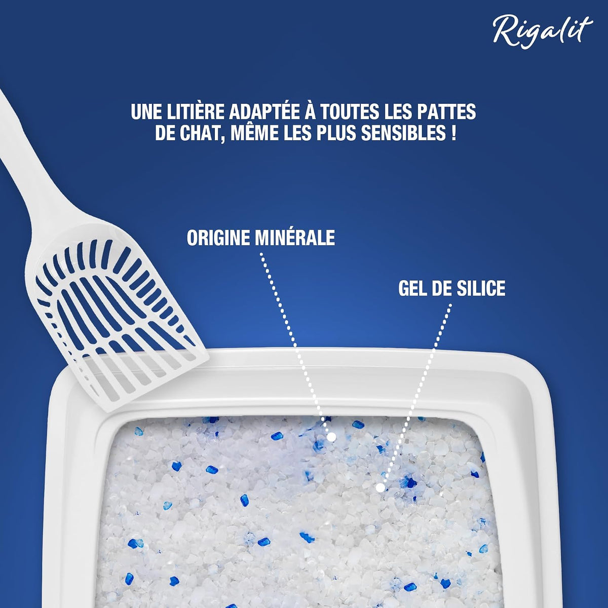 Riga - Cristal Rigalit - Litière pour chat absorbante d'origine minérale - Gel de silice - Absorbe les odeurs - Anti-développement bactérien - 2,2 kg