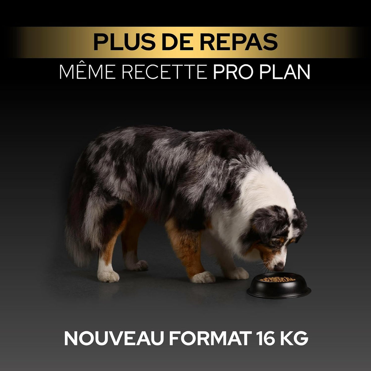 Purina Pro Plan - Medium Adult Sensitive Skin Chien, Saumon - Sac de 3 kg