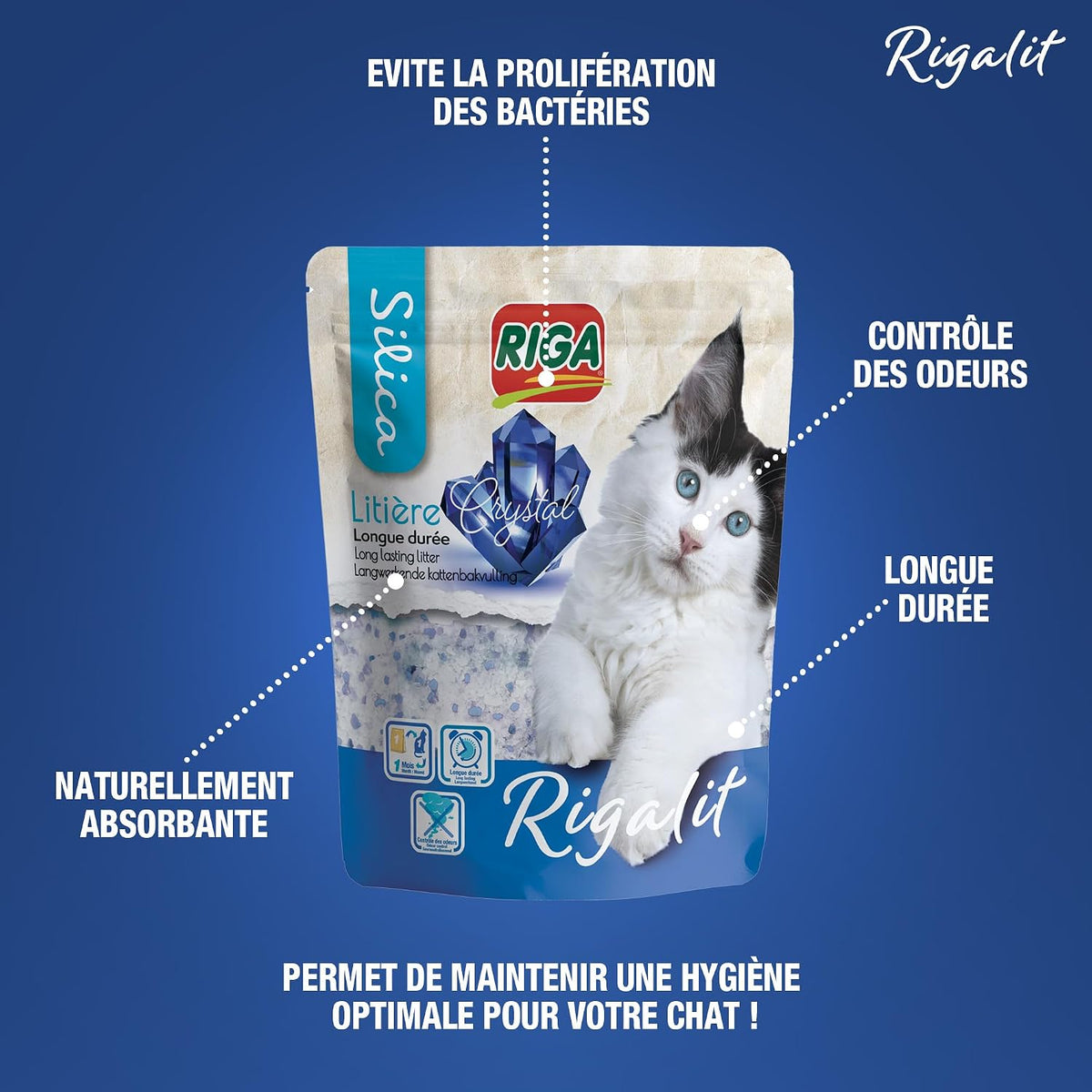 Riga - Cristal Rigalit - Litière pour chat absorbante d'origine minérale - Gel de silice - Absorbe les odeurs - Anti-développement bactérien - 2,2 kg