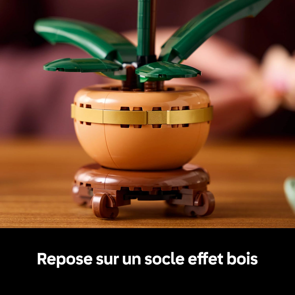 LEGO Botanicals La miniature d'orchidée 10343