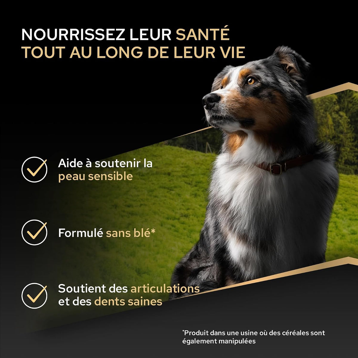 Purina Pro Plan - Medium Adult Sensitive Skin Chien, Saumon - Sac de 3 kg