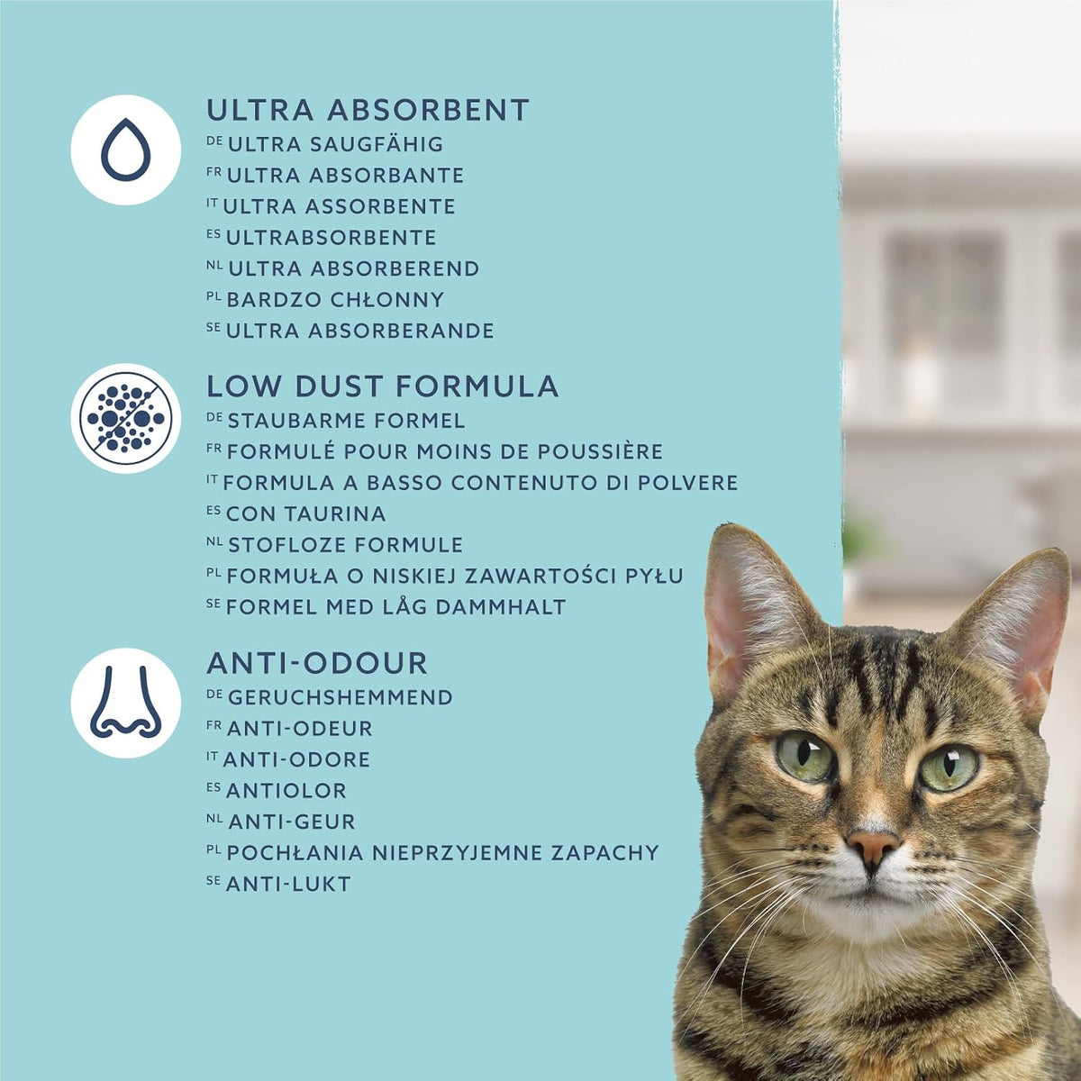 by Amazon Litière agglomérante ultra blanche pour chat, 10 L