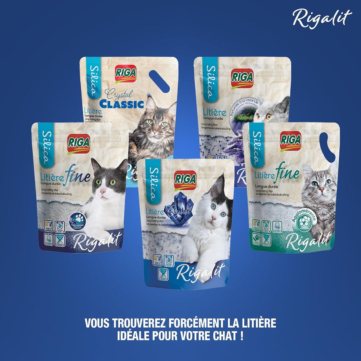 Riga - Cristal Rigalit - Litière pour chat absorbante d'origine minérale - Gel de silice - Absorbe les odeurs - Anti-développement bactérien - 2,2 kg