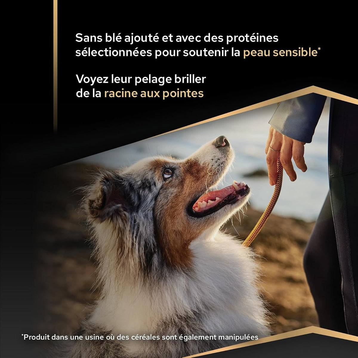 Purina Pro Plan - Medium Adult Sensitive Skin Chien, Saumon - Sac de 3 kg